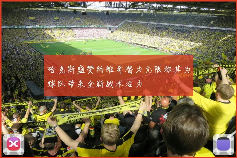 哈克斯盛赞约维奇潜力无限称其为球队带来全新战术活力