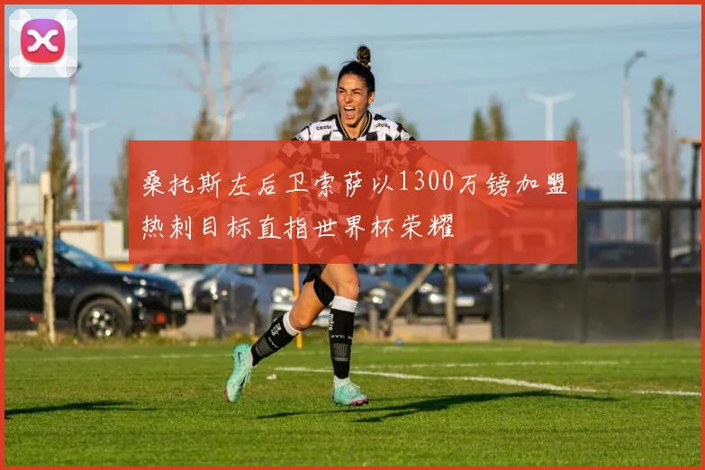 桑托斯左后卫索萨以1300万镑加盟热刺目标直指世界杯荣耀