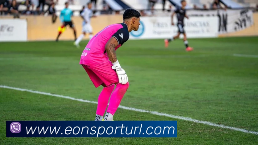 App Interface Preview